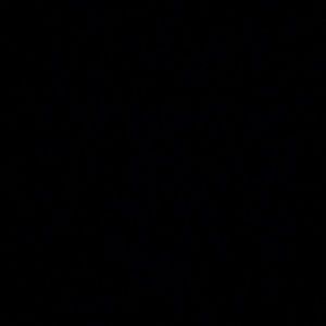 Meet your Posher, Max